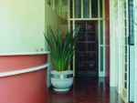 1999 - Escritório Advocacia - Ribeirão Preto
