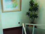 2000 - Clinica Ribeirão Preto