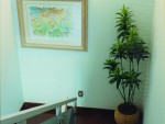 2000 - Clinica Ribeirão Preto